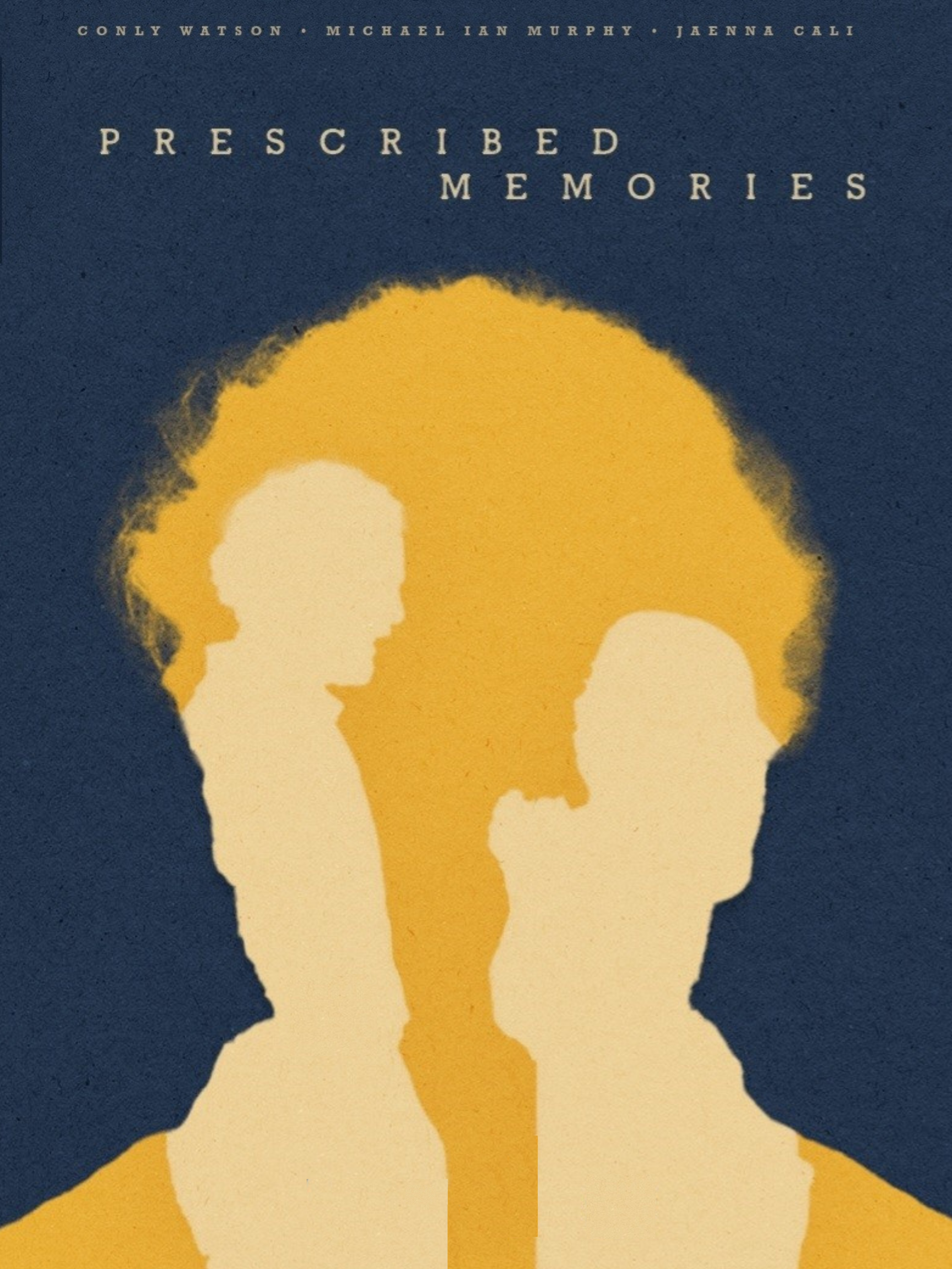 Prescribed Memories poster